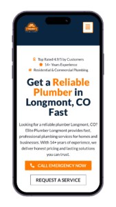 Elite Plumber Longmont Case Study